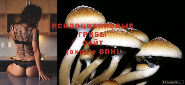 бошки Верея
