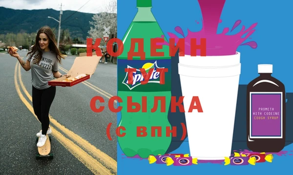 МДПВ Бородино